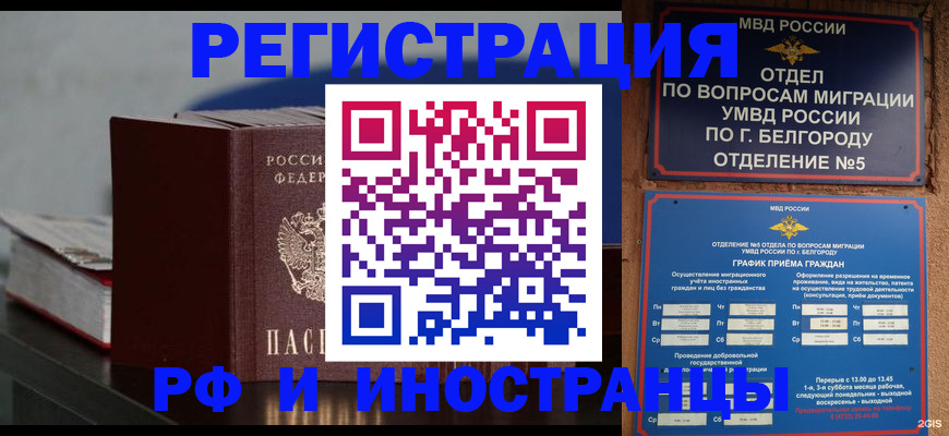 прописка 2025 в Жукове